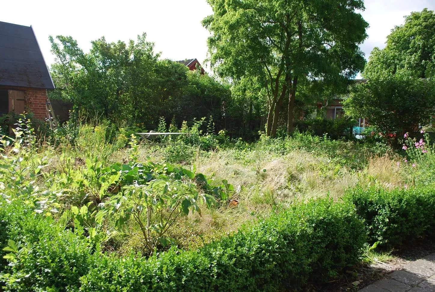 Helt ny trädgård i Dalby – bild 2