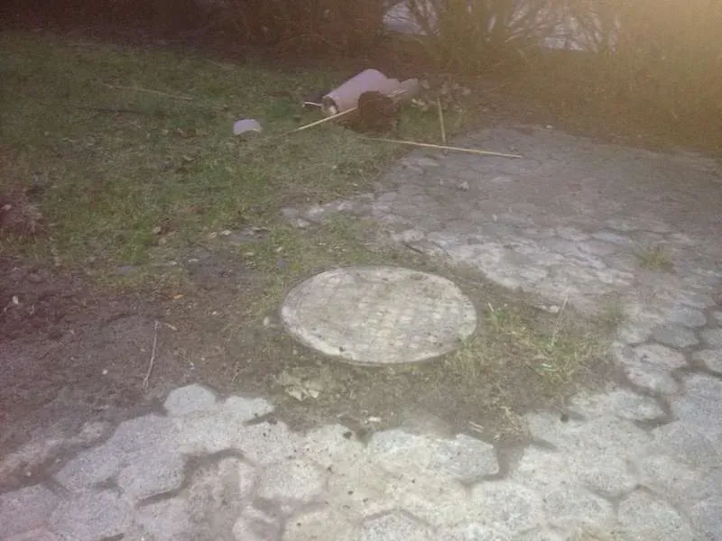 Mysigt runt trädäck i Lomma – bild 19