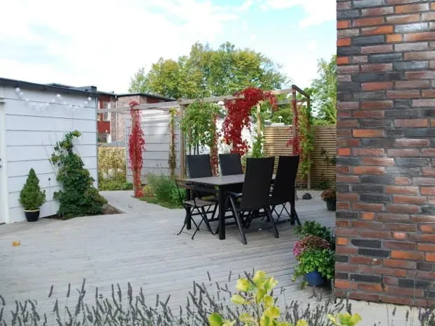 Trädgård från grunden i Lund – bild 24